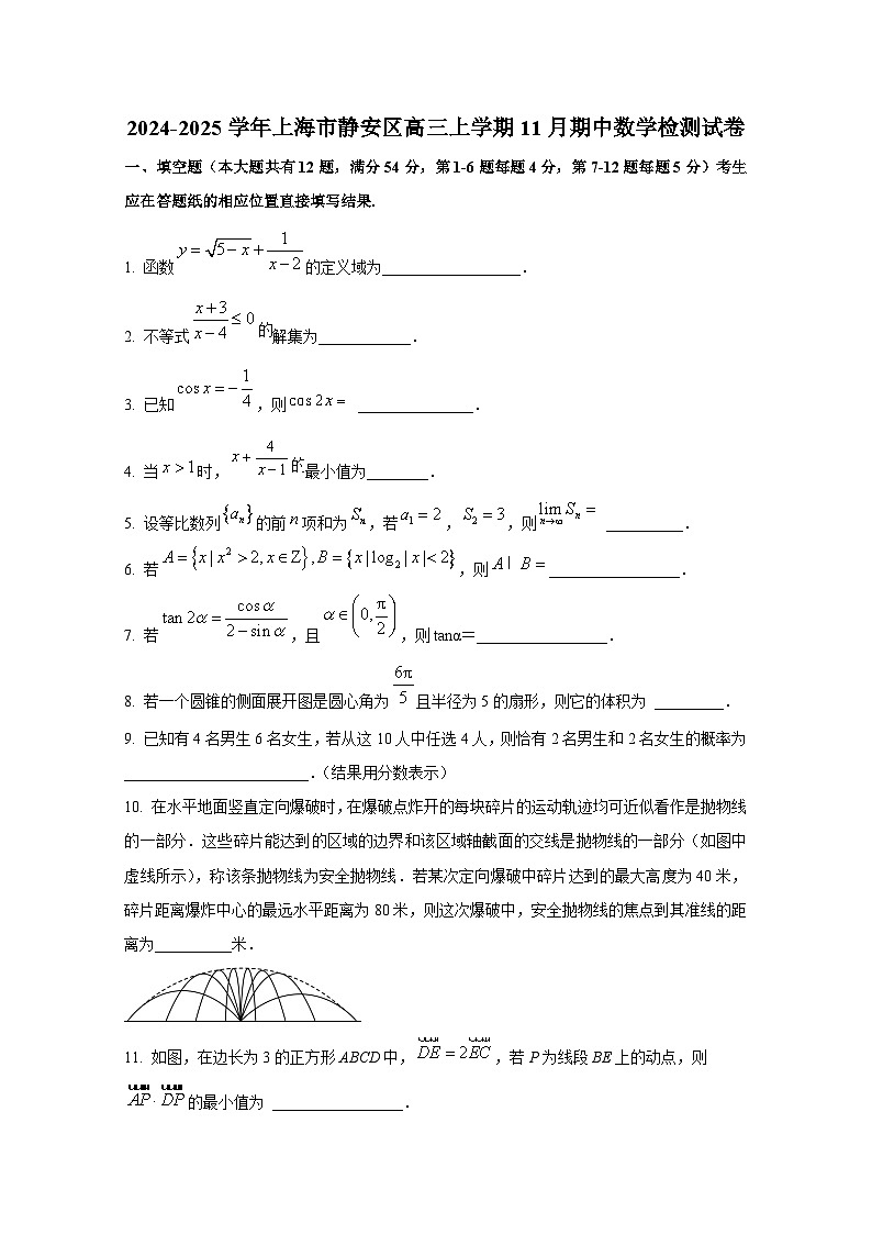 2024-2025学年上海市静安区高三上册11月期中数学检测试卷第1页