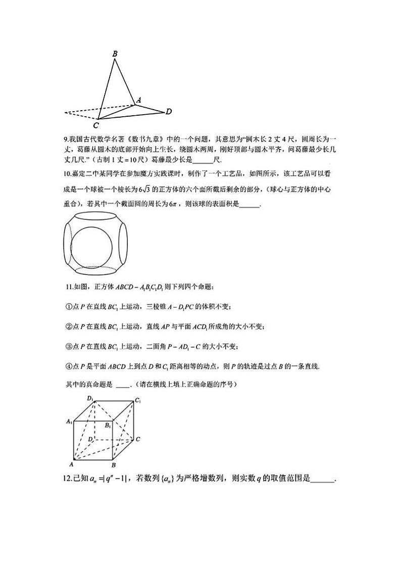上海市嘉定区第二中学2024-2025学年高二上学期期中考试数学试卷第2页