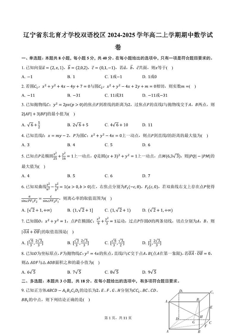 辽宁省东北育才学校双语校区2024-2025学年高二上学期期中数学试卷（含答案）第1页