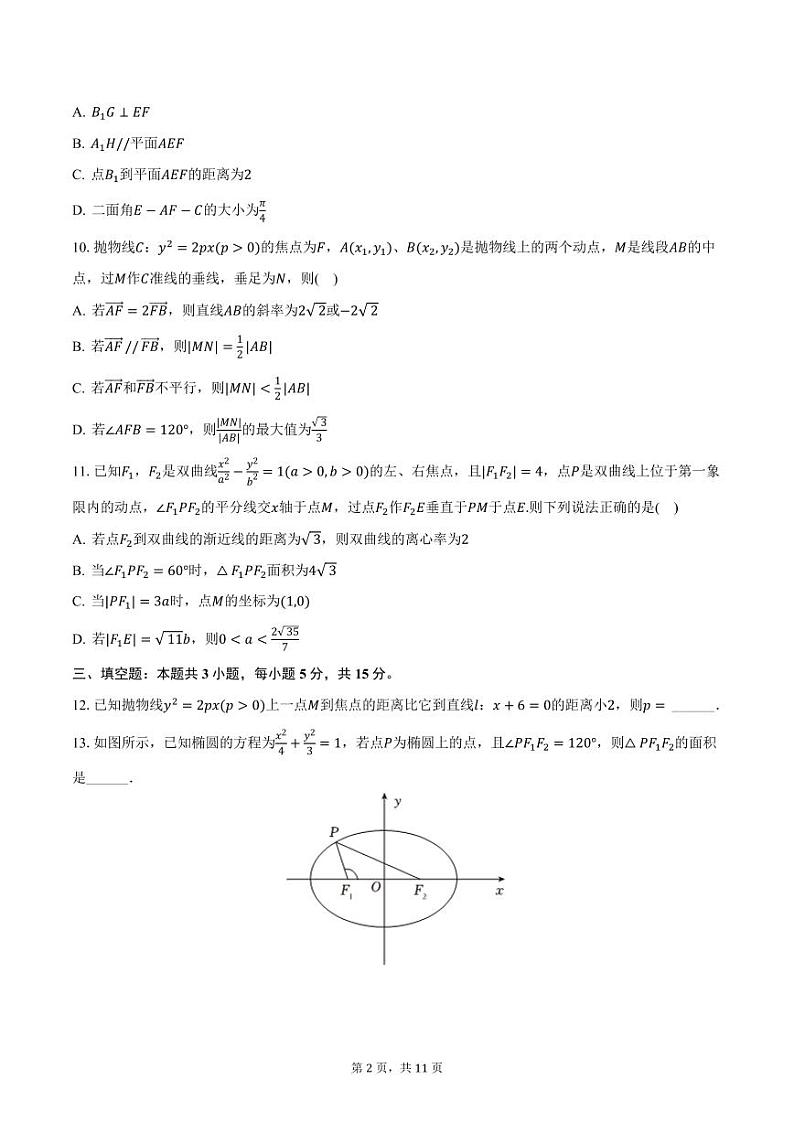 辽宁省东北育才学校双语校区2024-2025学年高二上学期期中数学试卷（含答案）第2页