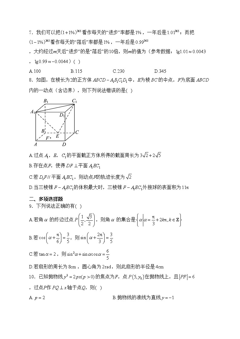 濮阳职业技术学院附属中学2025届高三上学期周测（12.22）数学试卷(含答案)第2页