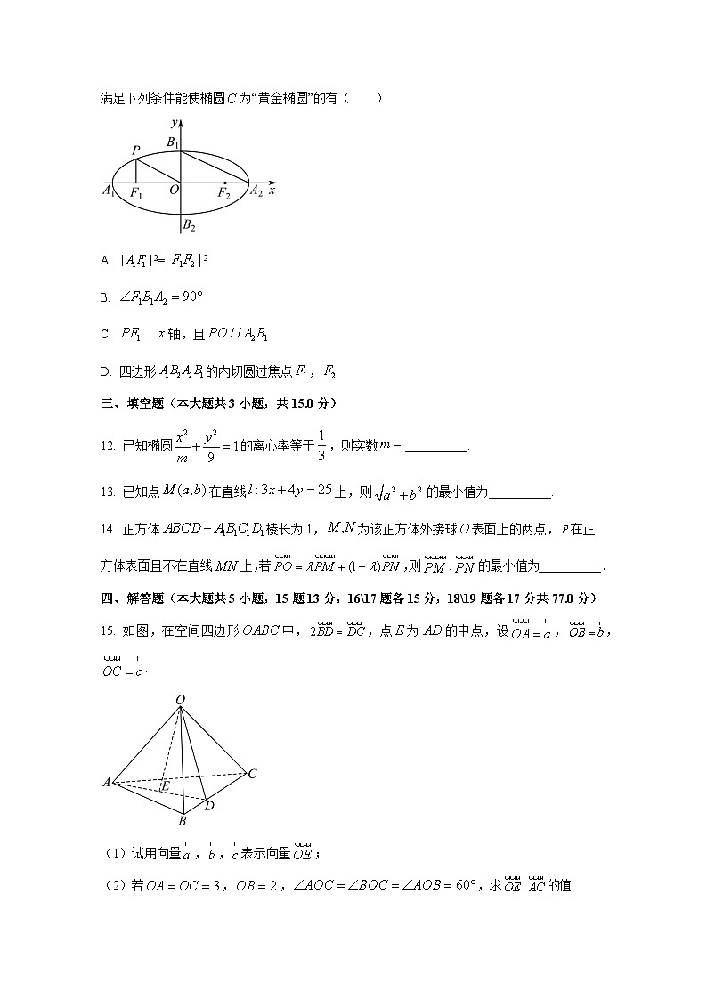 2024-2025学年山东省临沂市郯城县高二上册11月期中数学检测试题（含解析）第3页