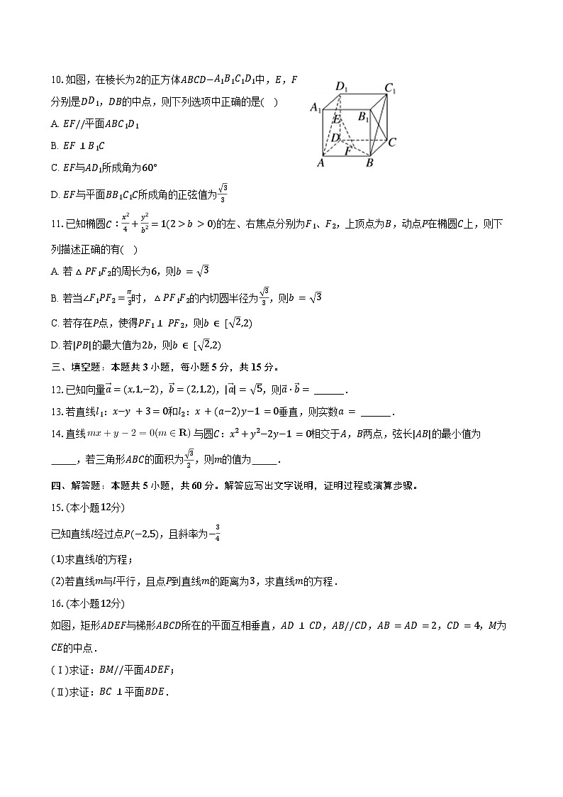 2024-2025学年广东实验中学江门市分校高二（上）期中数学试卷（含答案）第2页