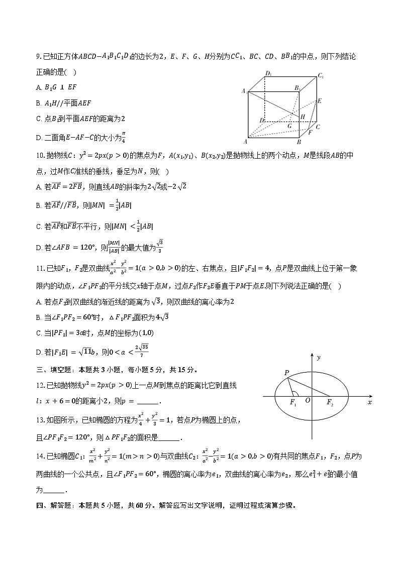 2024-2025学年辽宁省沈阳市东北育才学校双语校区高二（上）期中数学试卷（含答案）第2页