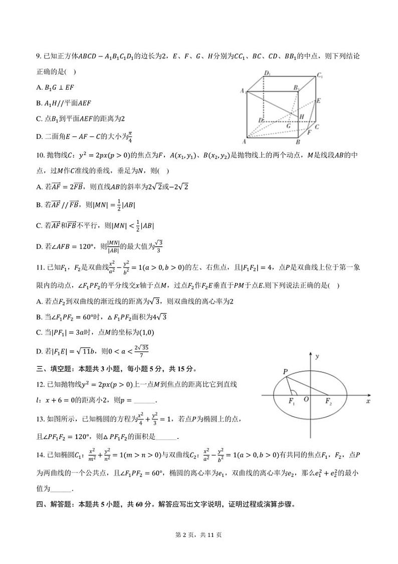2024～2025学年辽宁省沈阳市东北育才学校双语校区高二(上)期中数学试卷(含答案)第2页