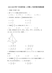 2024-2025学年广西玉林市高二上学期11月联考数学检测试题（附解析）