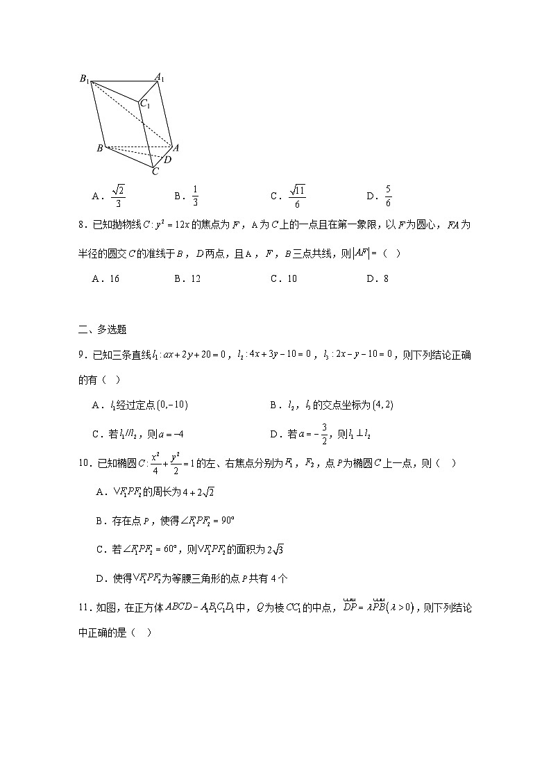 2024-2025学年吉林省长春市高二上学期11月期中考试数学检测试题（附解析）第2页