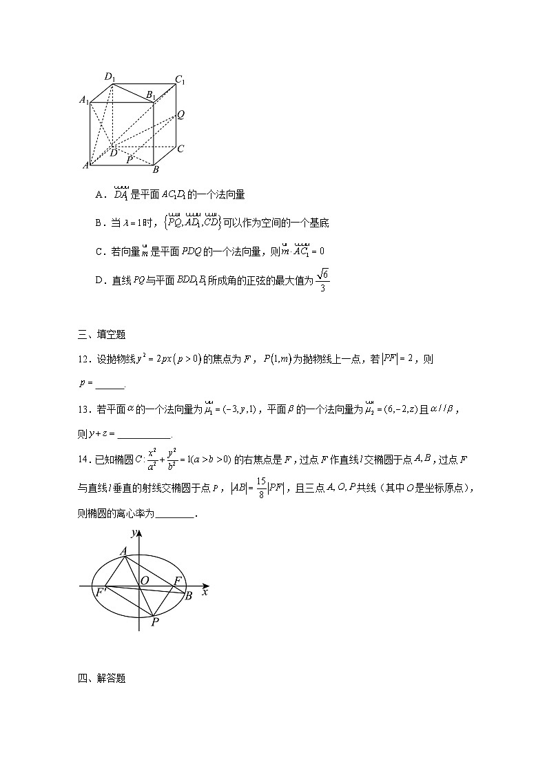 2024-2025学年吉林省长春市高二上学期11月期中考试数学检测试题（附解析）第3页