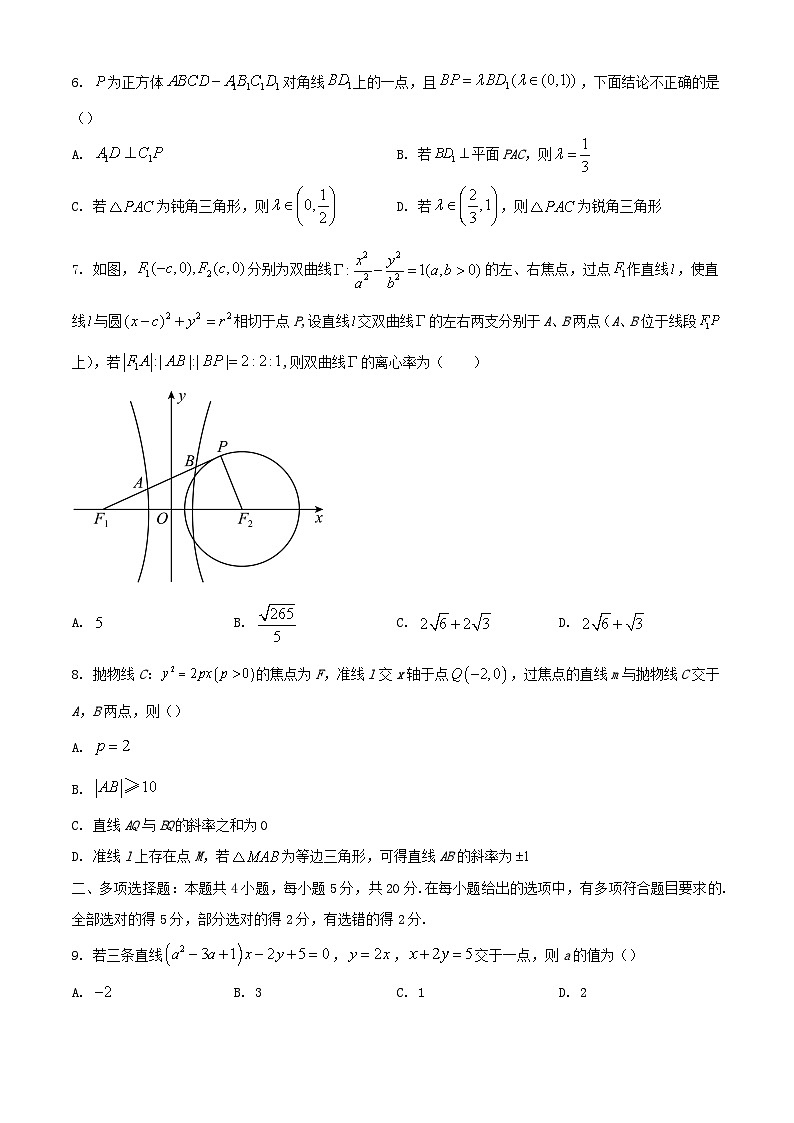 重庆市2023_2024学年高二数学上学期12月月考试题含解析第2页