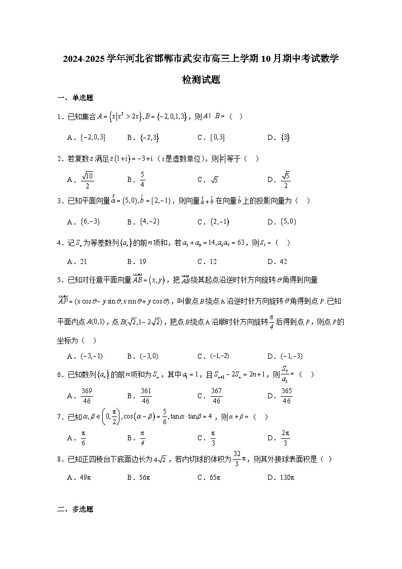 2024-2025学年河北省邯郸市武安市高三上册10月期中考试数学检测试题（含解析）第1页