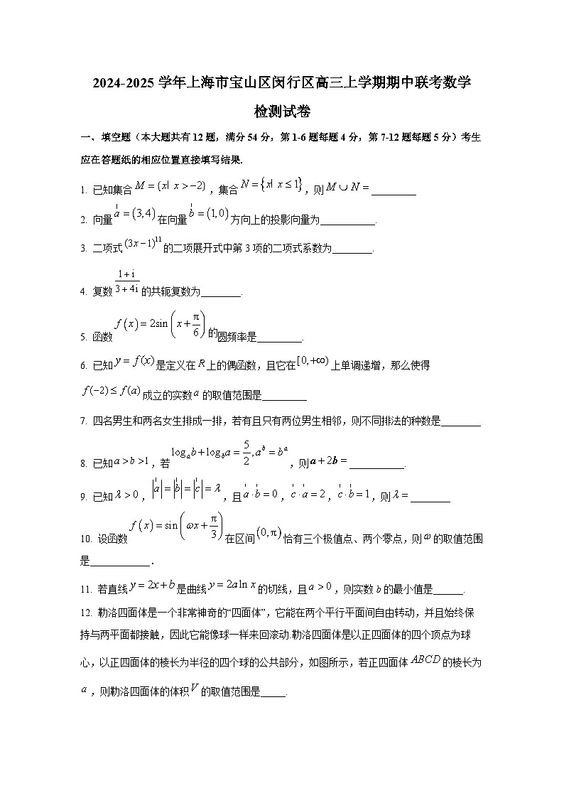 2024-2025学年上海市宝山区闵行区高三上册期中联考数学检测试卷第1页