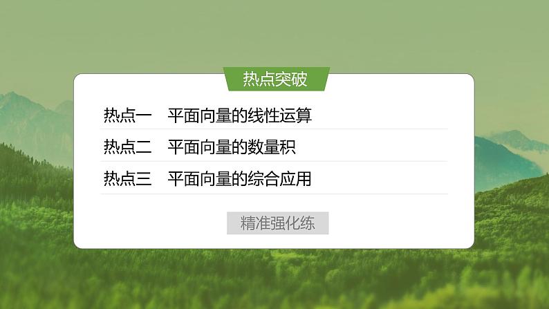 微专题16　平面向量的基本运算及应用第8页