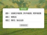 2025届高中数学二轮复习 创新点1 以高等数学知识为背景的导数问题（课件+练习）