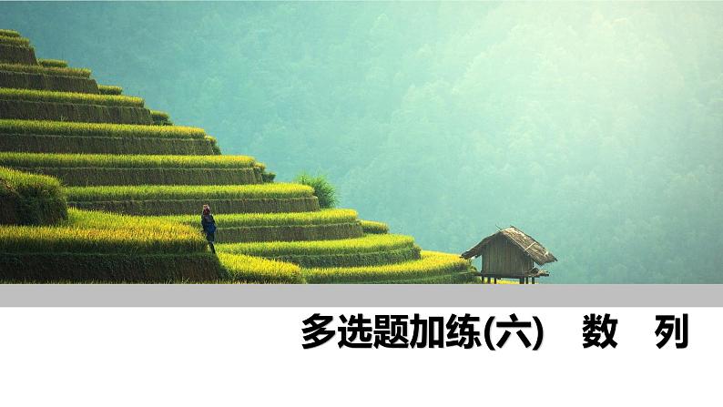 2025高考数学一轮复习-多选题加练(六) 数列【课件】第1页