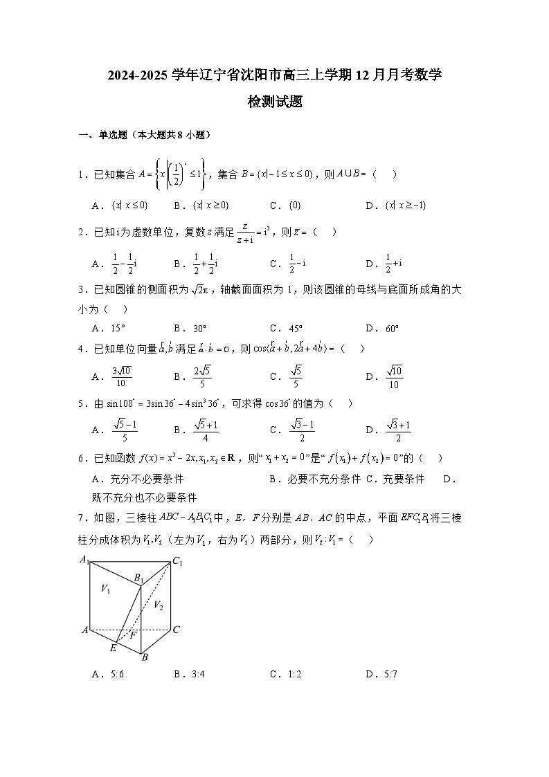 2024-2025学年辽宁省沈阳市高三上学期12月月考数学检测试题（附解析）第1页