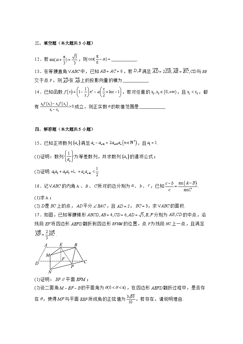 2024-2025学年山东省高三上学期12月数学阶段性检测试题（附解析）第3页