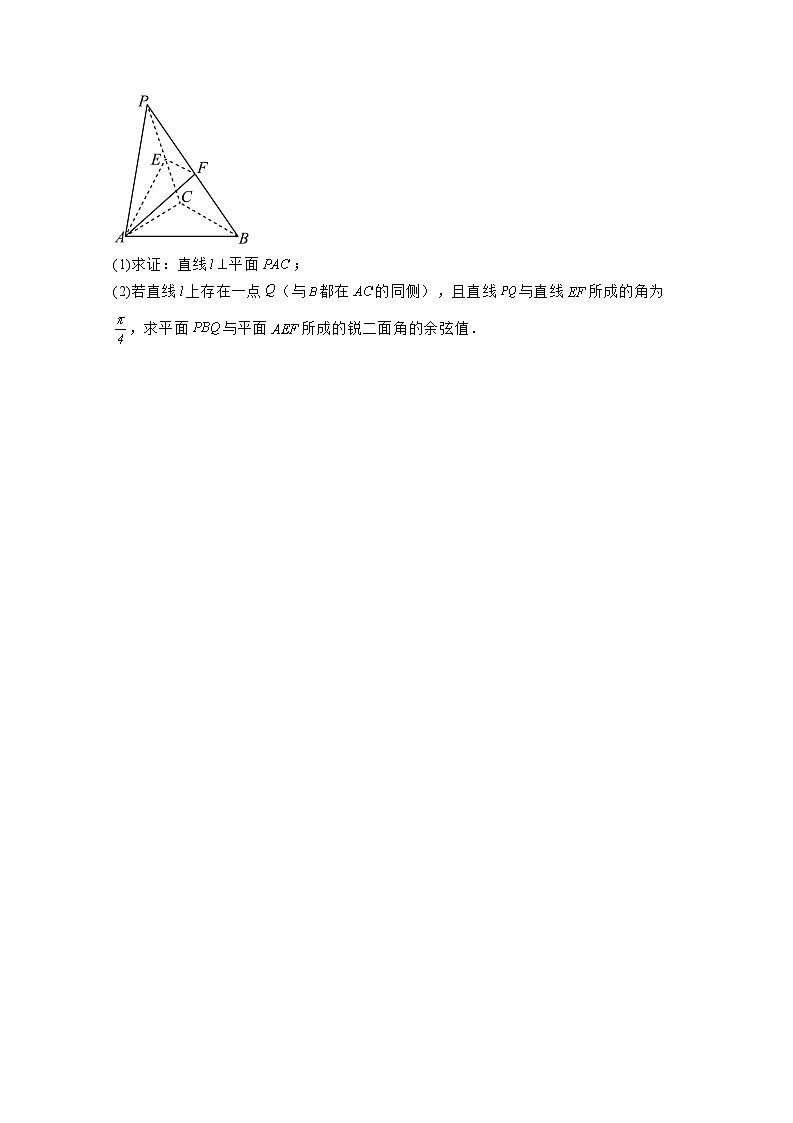 2024-2025学年山东省济南市高三上学期12月月考数学学情检测试题（附解析）第3页