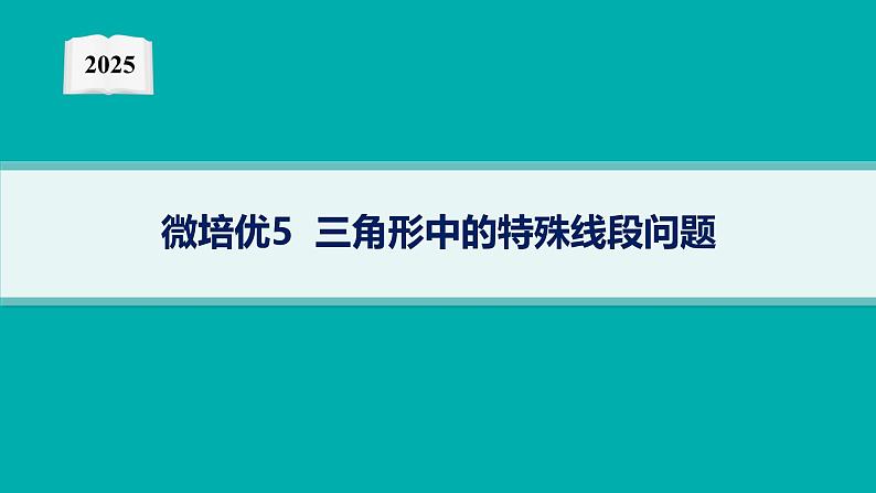 2025高考数学二轮复习-微培优5 三角形中的特殊线段问题【课件】第1页