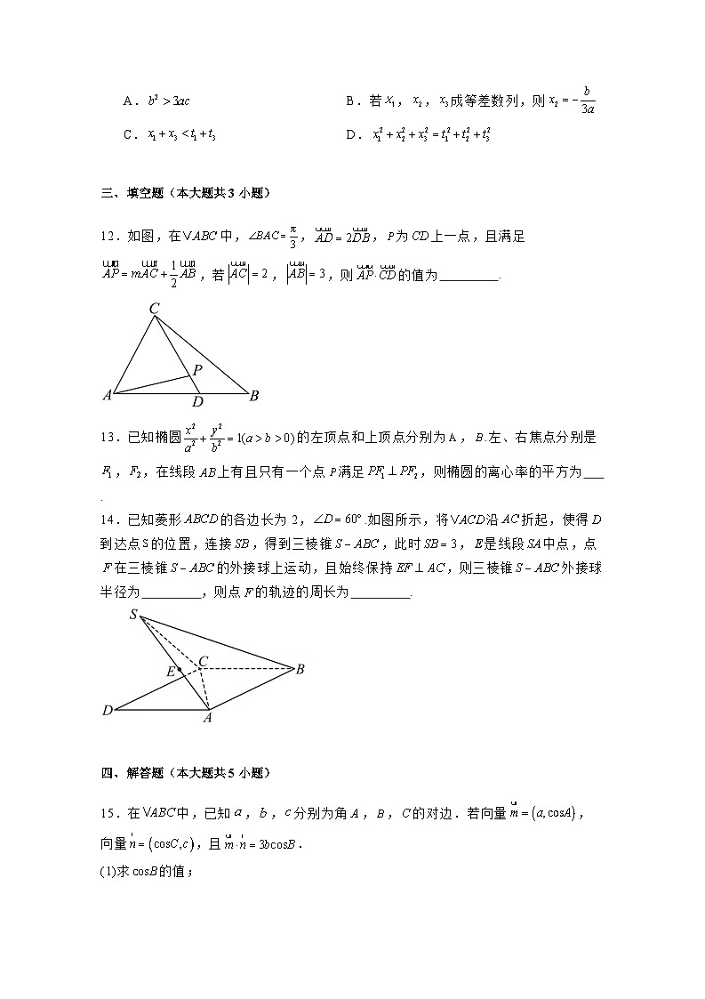 2024-2025学年福建省龙岩市上杭县高三上册12月月考数学检测试题（附解析）第3页