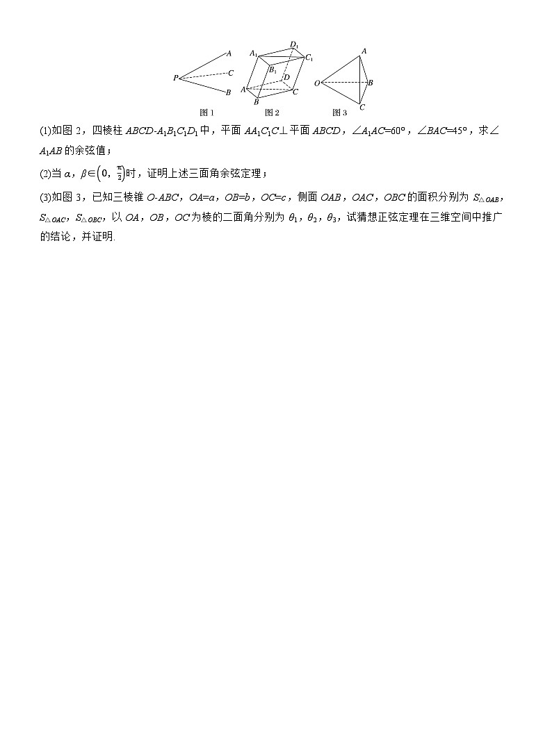 专题四　微创新　立体几何与其他知识的综合问题 --2025年高考数学大二轮专题复习（学生版）第3页