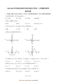 2024～2025学年湖北省武汉市重点中学高一上期末联考(月考)数学试卷(含答案)