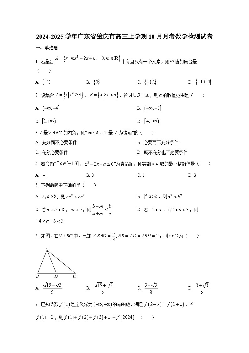 2024-2025学年广东省肇庆市高三上学期10月月考数学检测试卷第1页