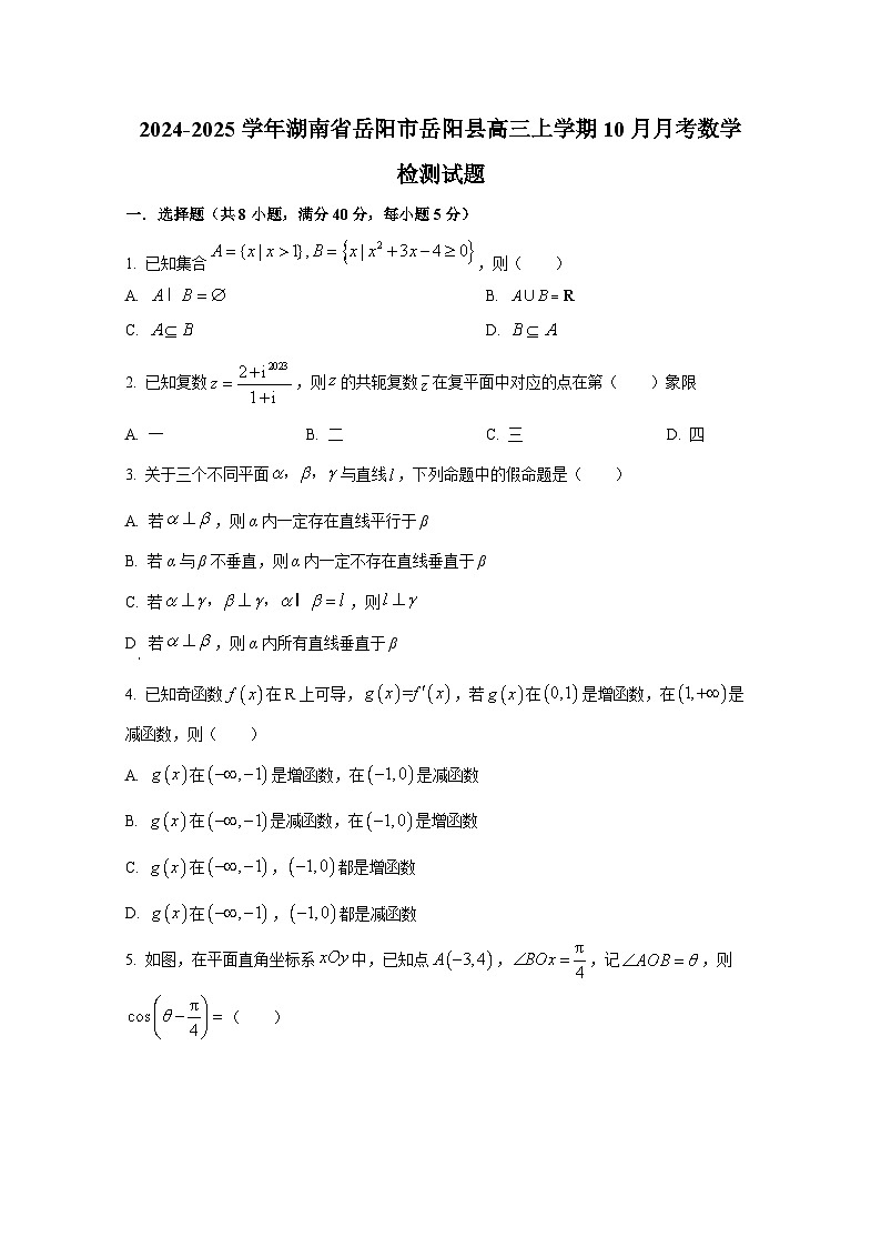 2024-2025学年湖南省岳阳市岳阳县高三上学期10月月考数学检测试题第1页