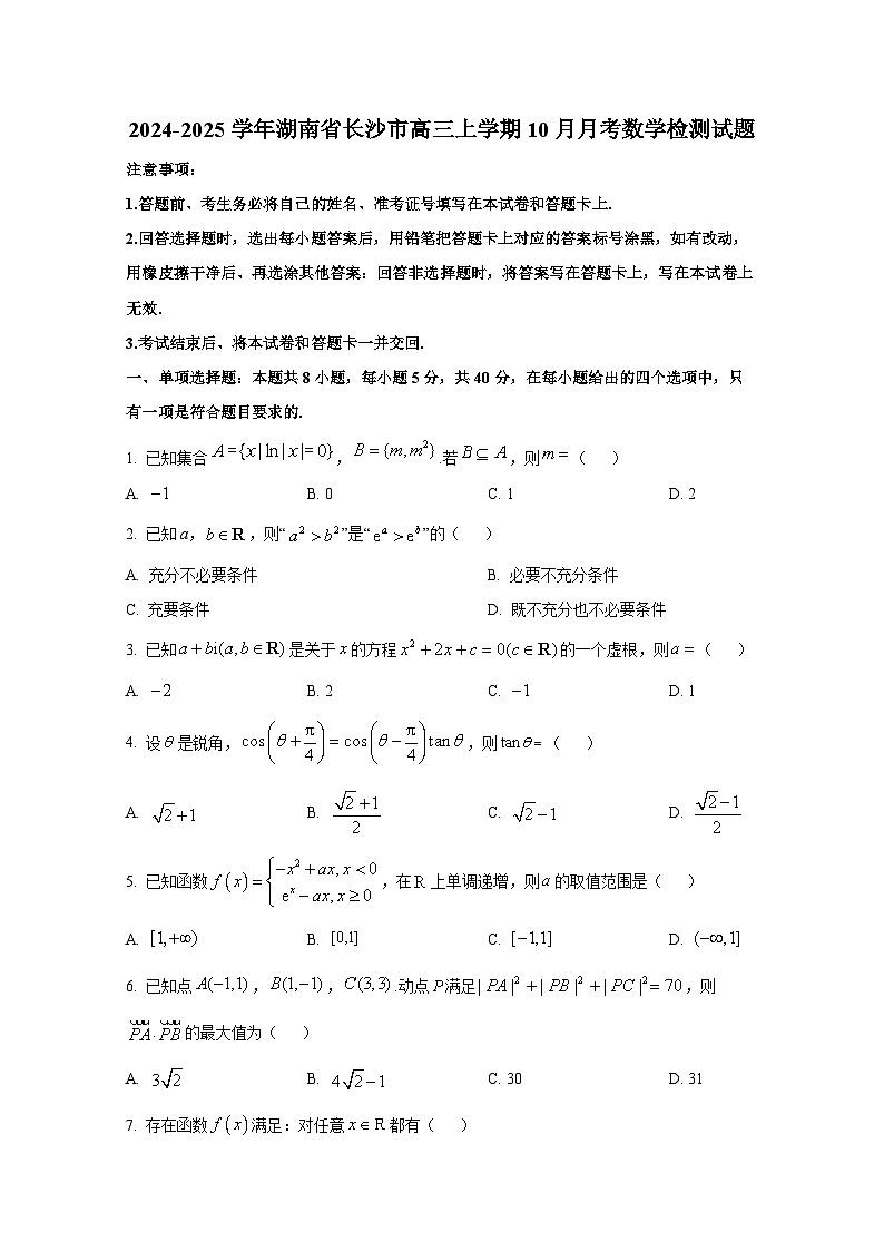 湖南省长沙县实验中学等多校联考2024-2025学年高三上学期10月月考数学试题第1页
