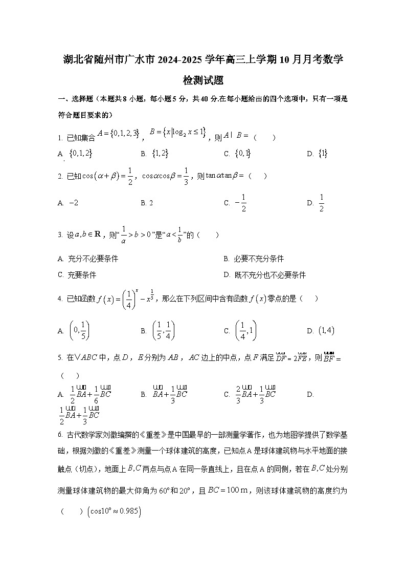 湖北省随州市广水市2024-2025学年高三上学期10月月考数学检测试题第1页