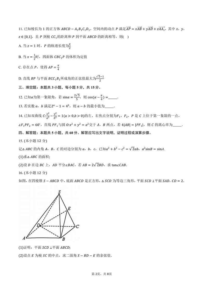 2025届金科大联考(月考)高三上1月考数学试卷(含答案)第2页