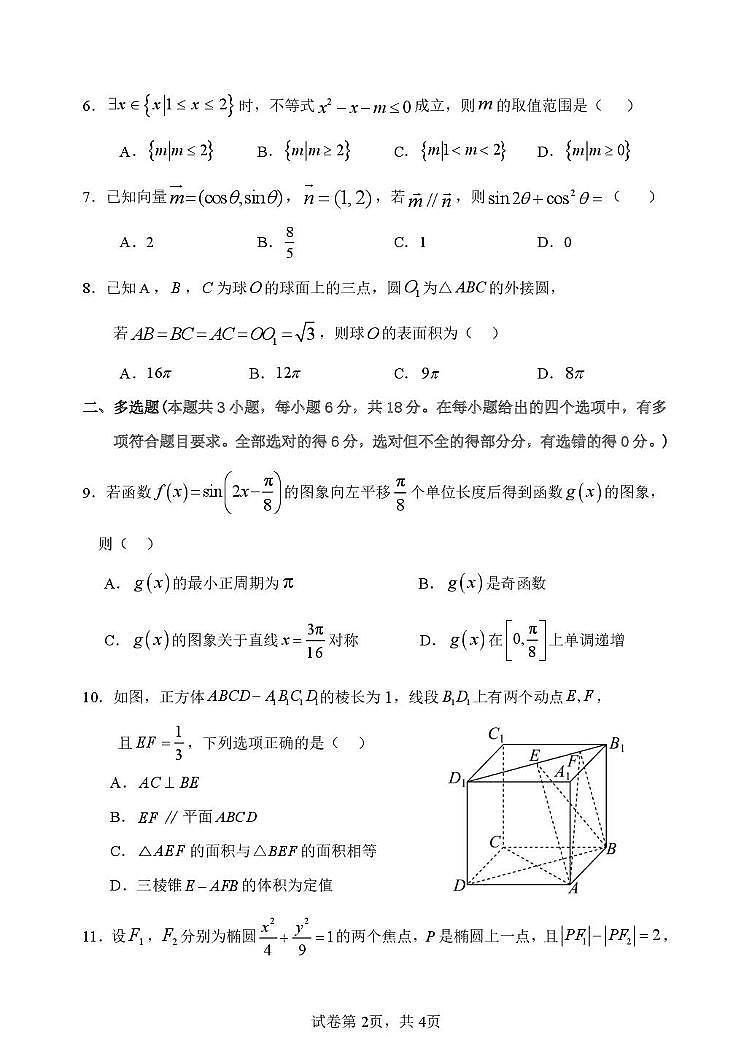 河北省衡水市武强中学2024-2025学年高三上学期期末考试数学试题第2页