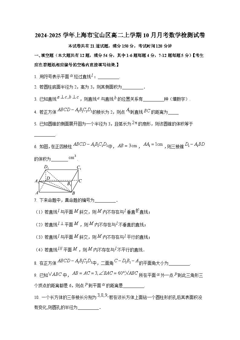 2024-2025学年上海市宝山区高二上册10月月考数学检测试卷（含解析）第1页