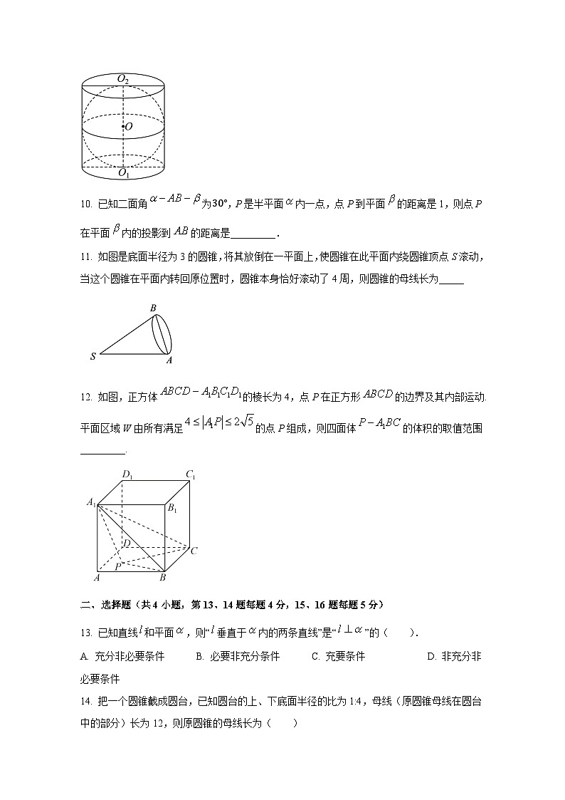 2024-2025学年上海市徐汇区高二上册期中考试数学检测试卷第2页