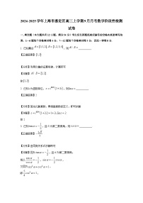 2024-2025学年上海市嘉定区高三上册9月月考数学阶段性检测试卷（附解析）