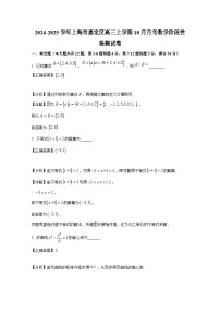 2024-2025学年上海市嘉定区高三上册10月月考数学阶段性检测试卷（附解析）