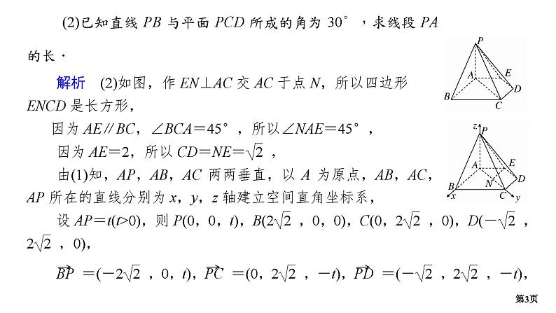 专题训练•作业24第3页