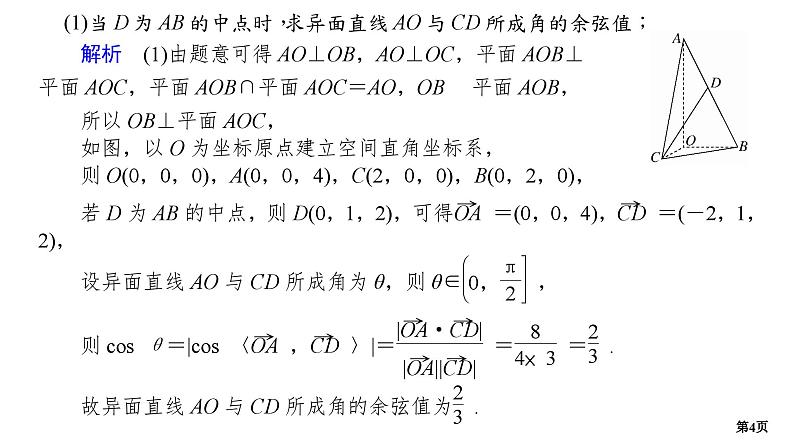 专题训练•作业23第4页