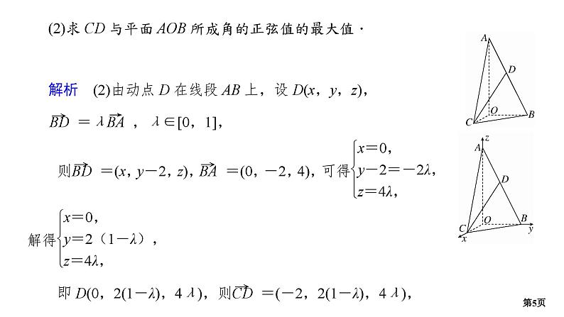 专题训练•作业23第5页