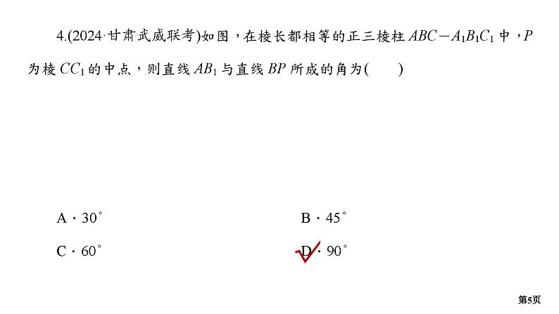 专题训练•作业22第5页