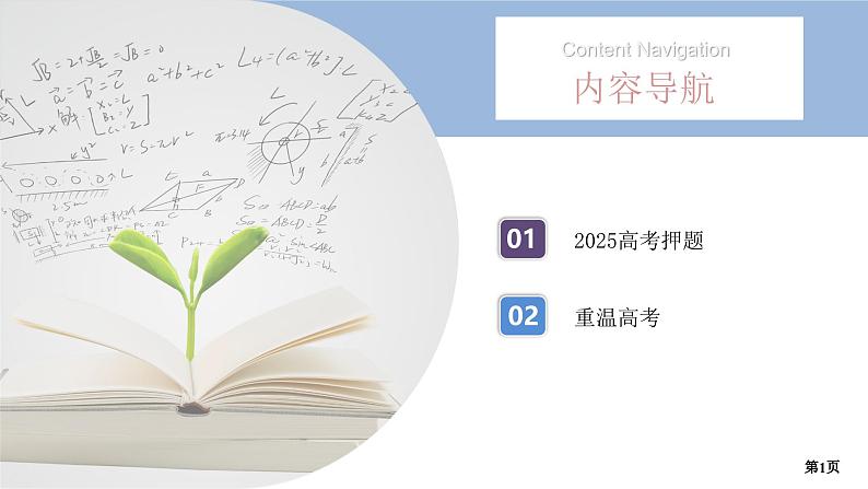 第4讲　导数的综合应用(二)第1页