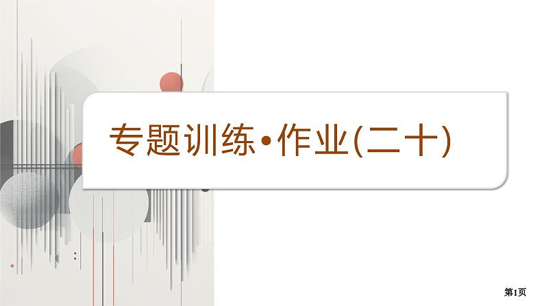 专题训练•作业20第1页