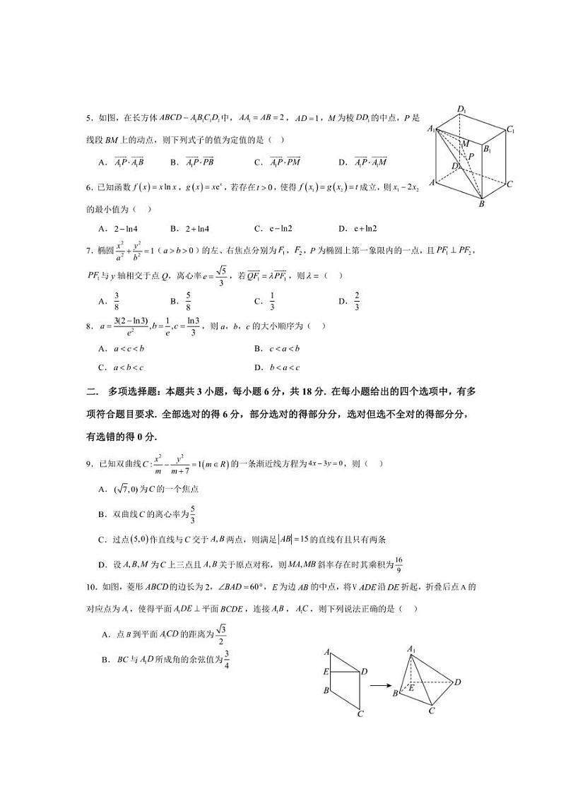 2024～2025学年山东省高二上1月期末数学试卷(含答案)第2页