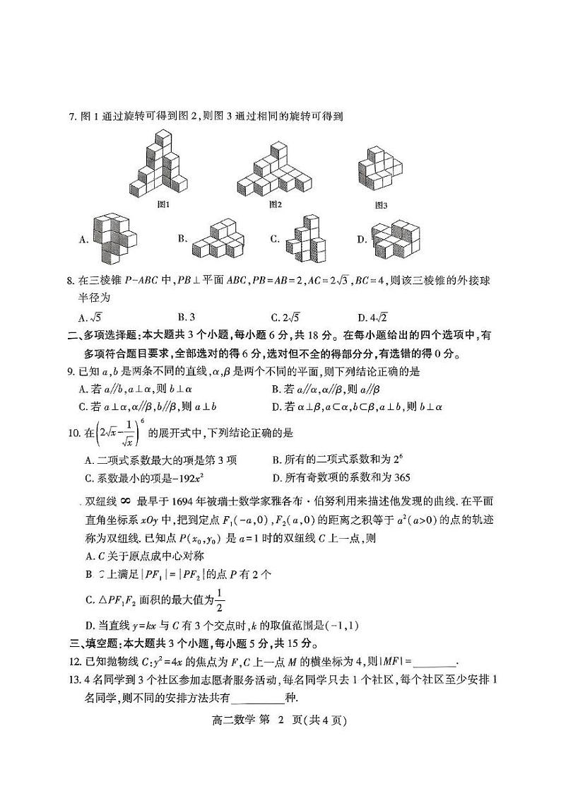 山东省潍坊市2024-2025学年高二上学期期末考试数学试题第2页