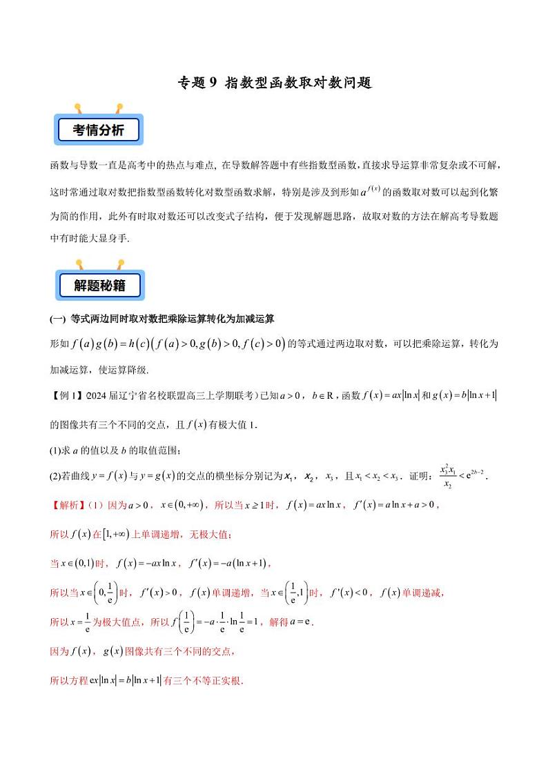专题09 指数型函数取对数问题（学生版） -2025年高考数学压轴大题必杀技系列·导数第1页