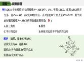 2025高考数学一轮复习-几何体的截面(交线)及动态问题【课件】