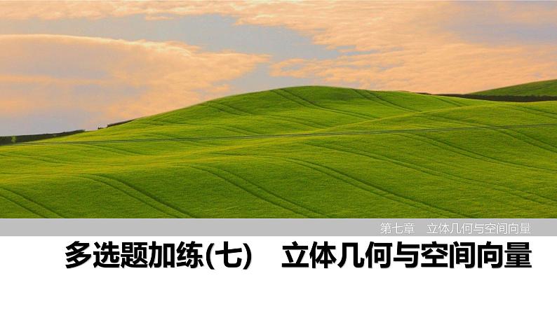 2025高考数学一轮复习-多选题加练(七)立体几何与空间向量【课件】第1页