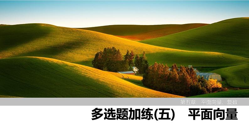 2025高考数学一轮复习-多选题加练(五)平面向量【课件】第1页