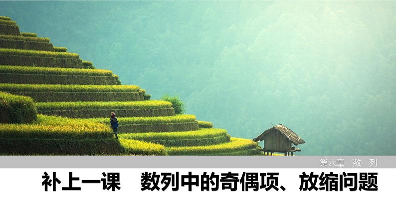 2025高考数学一轮复习-数列中的奇偶项、放缩问题【课件】第1页