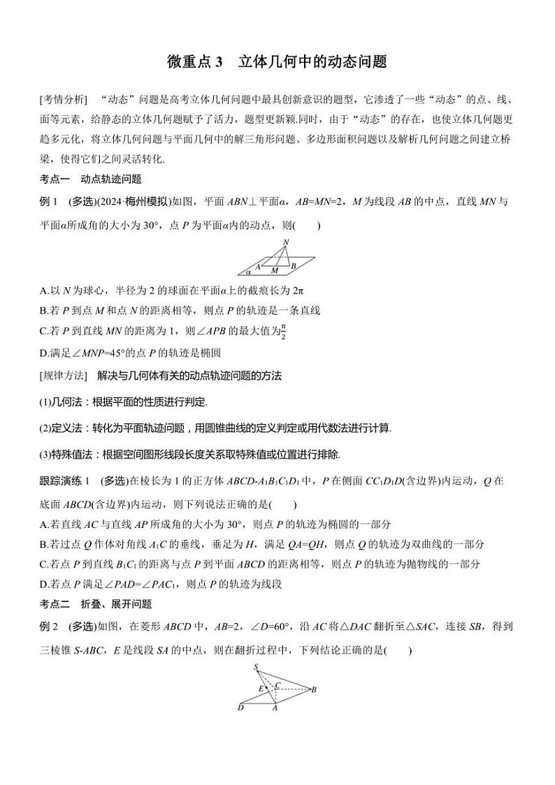 2025届高考数学二轮复习四 重点3 立体几何中的动态问题 学案（含答案）第1页