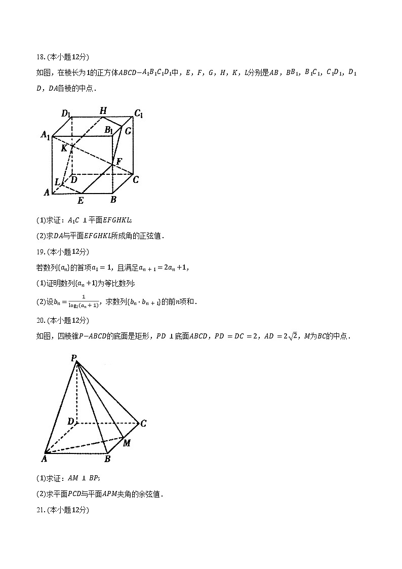 2024-2025学年内蒙古包头市高二上学期期末考试数学试卷（含答案）第3页